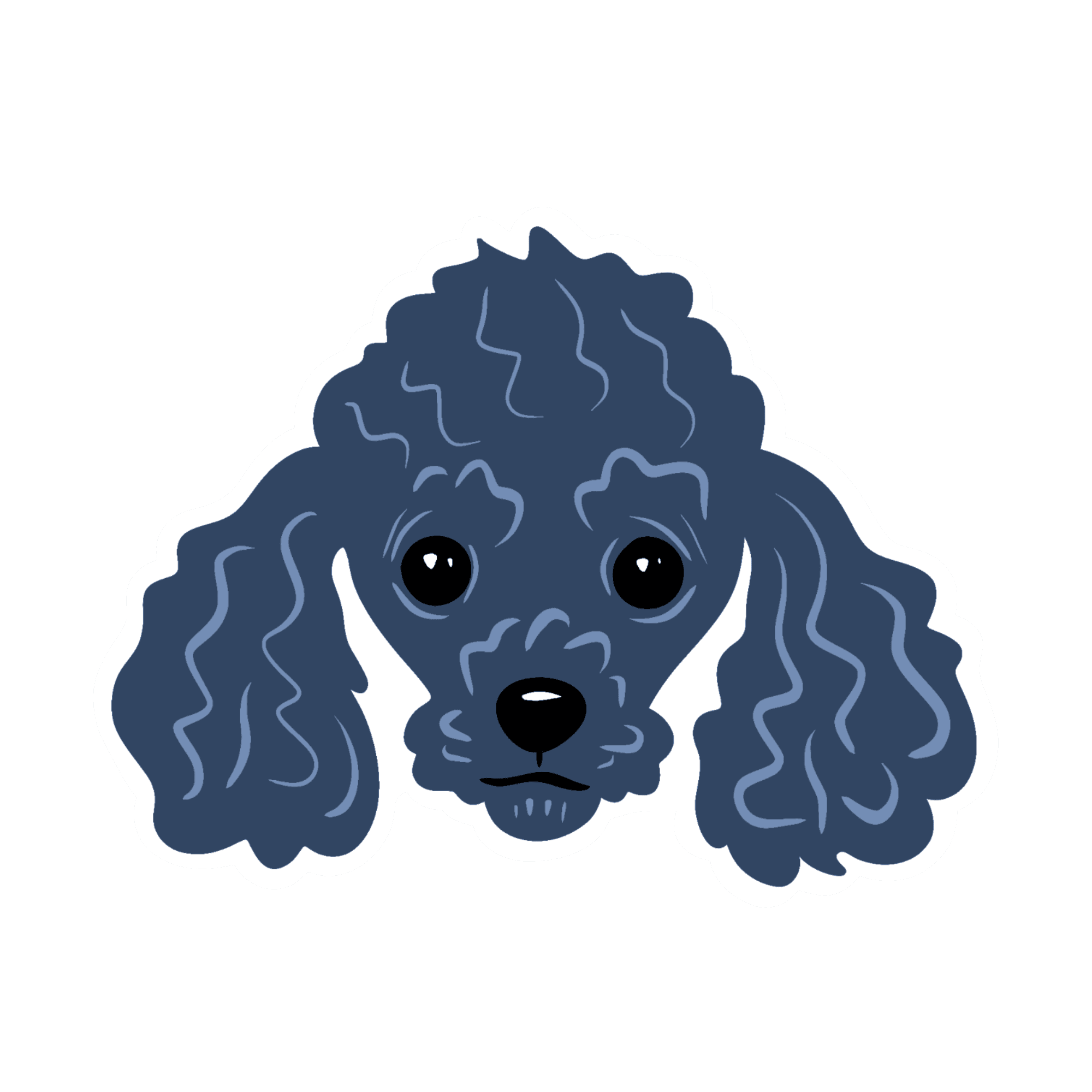 Curly Blue Poodle Face Sticker